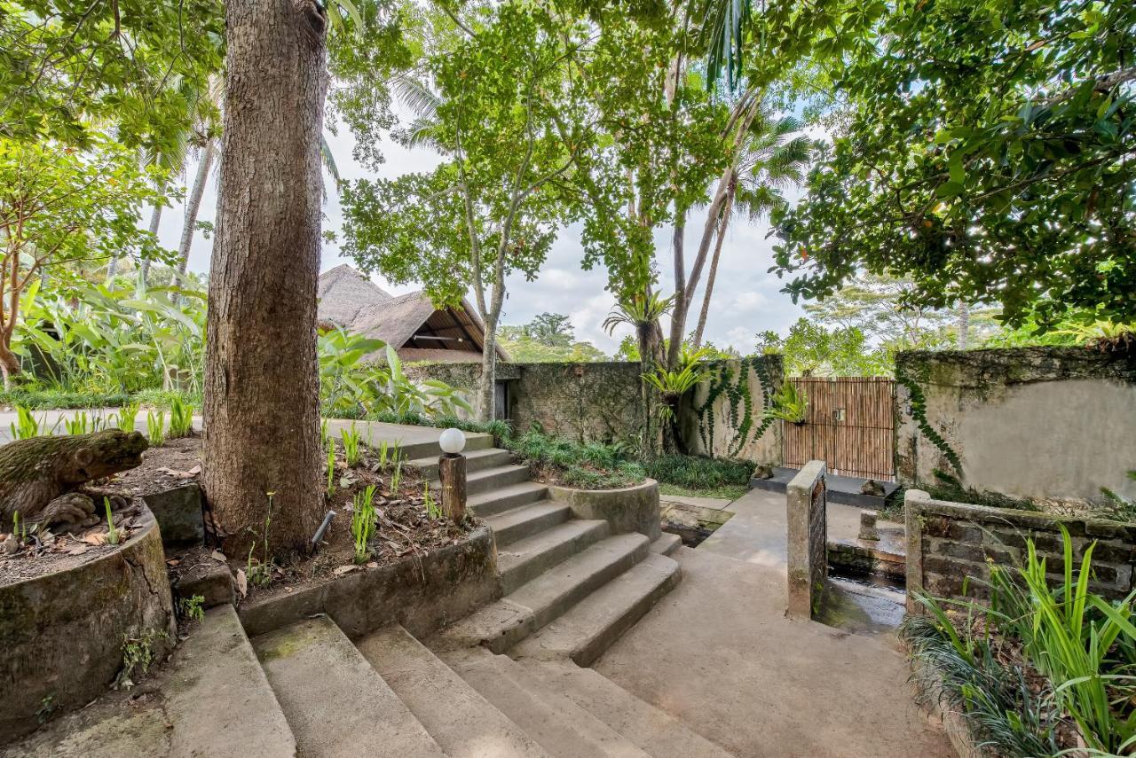 Villa Kelusa ウブド エクステリア 写真